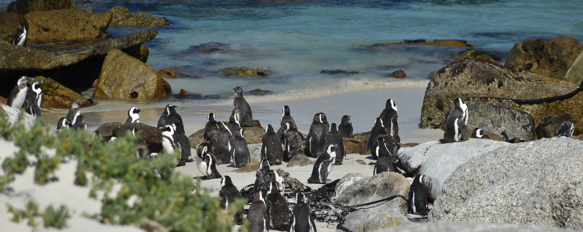 Unique and unusual places to stay in South Africa | Host Unusual