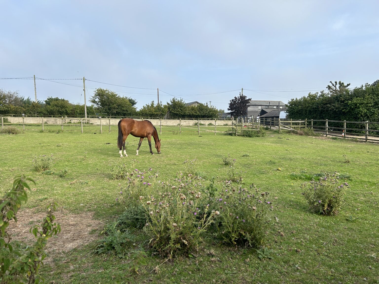 Tried and Tested Lee Wick Farm Cottages and Glamping, Essex